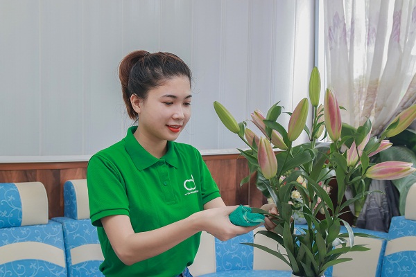 Giúp việc 88 cung ứng giúp việc chuyên nghiệp